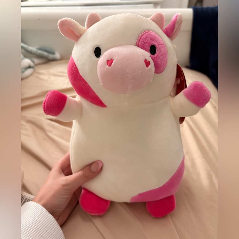 Caedyn Hugmee Squishmallow